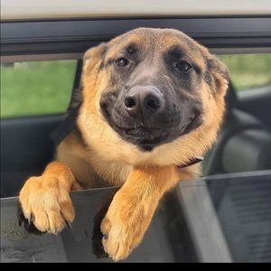 Meet your Posher, Thomas